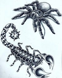 a black and white drawing of a scorpion and a spider